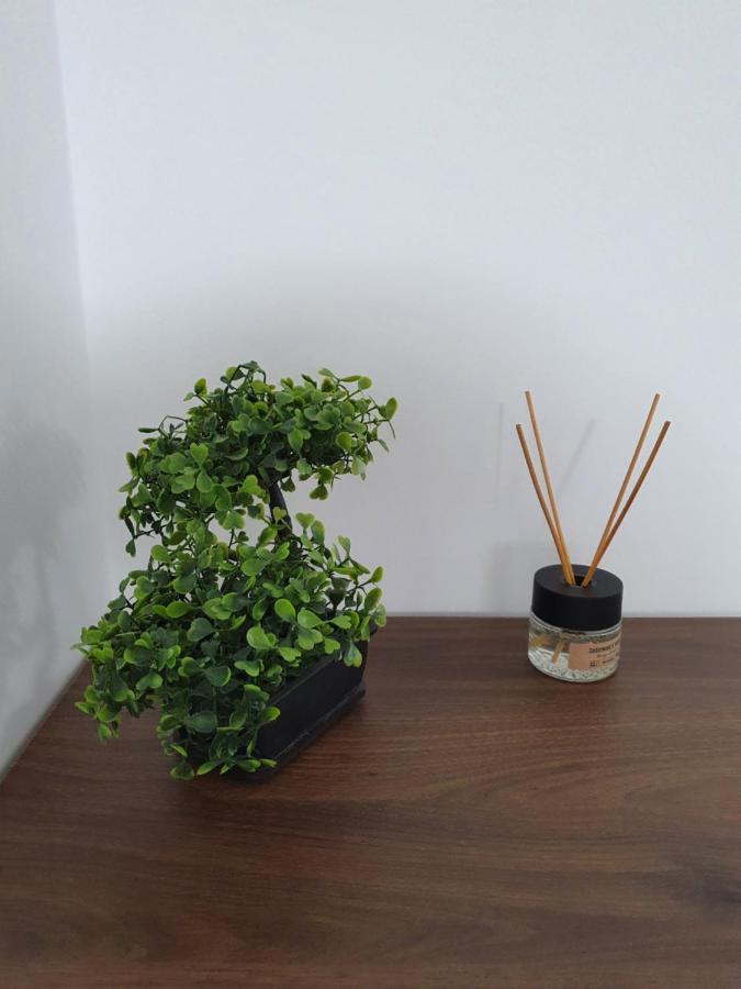 Talsa 1-bedroom In Center דירה